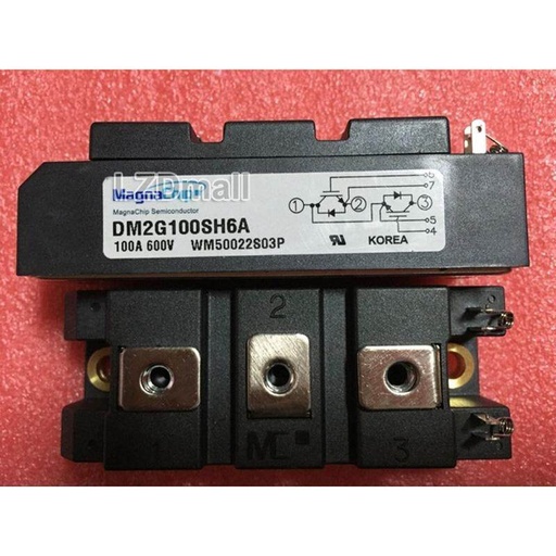 [DM2G100SH6A] DM2G100SH6A Modulo IGBT DOW DM2G100SH6A 